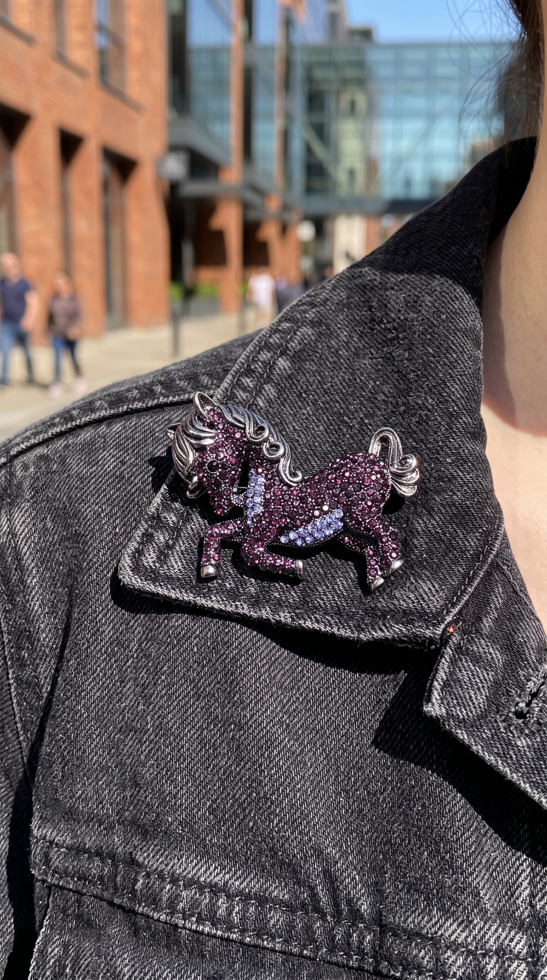 Prancing Pony Crystal Brooch Pin
