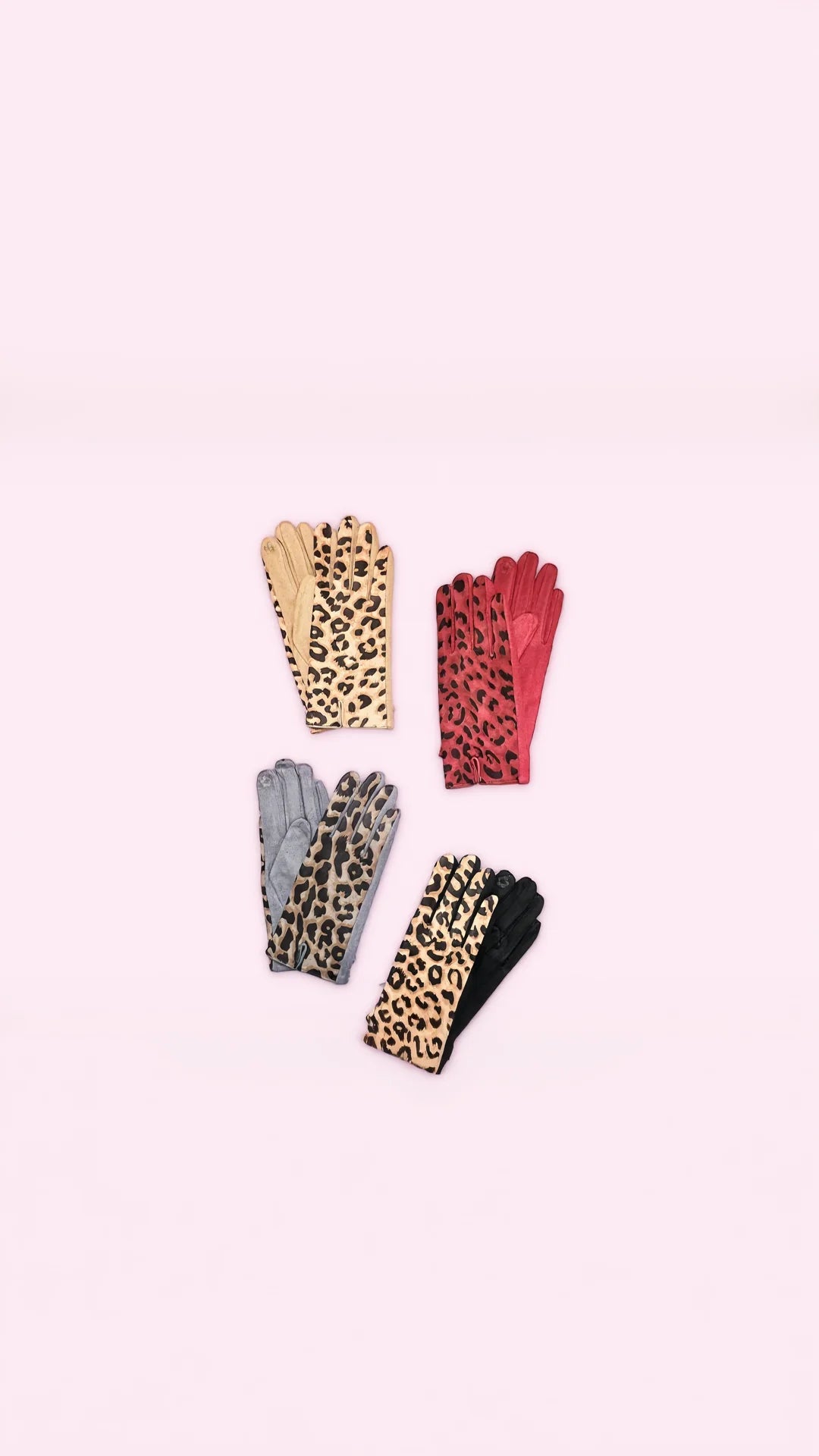 Animal Print Gloves Pack of 12